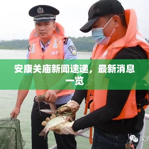 安康关庙新闻速递，最新消息一览