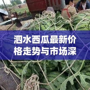 玉树临风 第2页