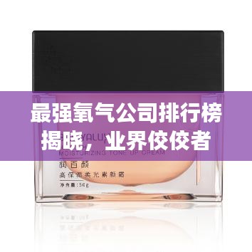 斫琱为朴 第2页