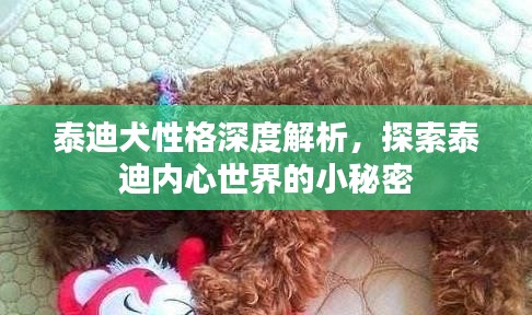 笃新怠旧 第2页