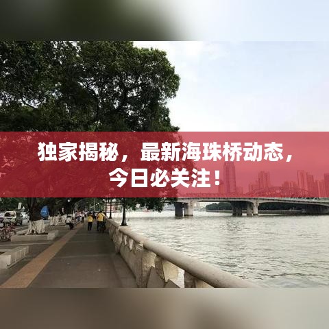 资料 第70页