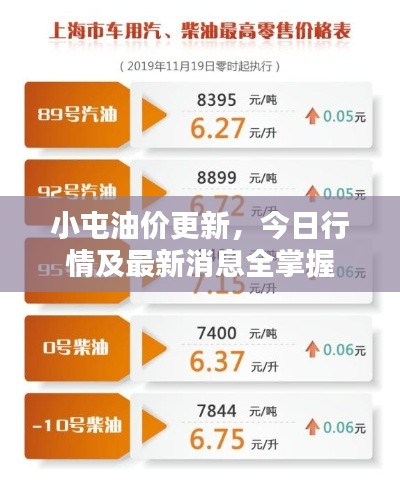 小屯油价更新，今日行情及最新消息全掌握