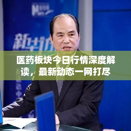 医药板块今日行情深度解读，最新动态一网打尽