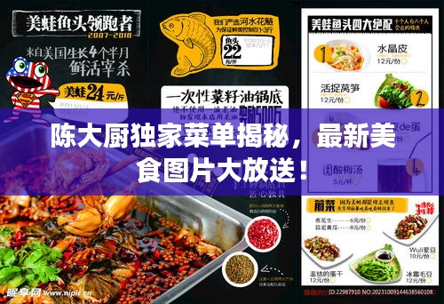 陈大厨独家菜单揭秘，最新美食图片大放送！