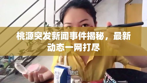 桃源突发新闻事件揭秘，最新动态一网打尽