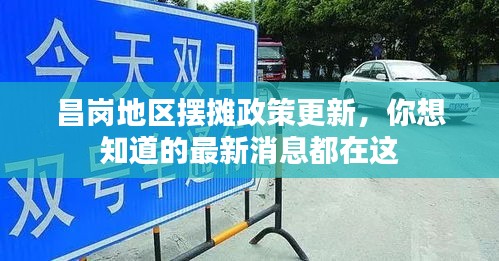 昌岗地区摆摊政策更新，你想知道的最新消息都在这