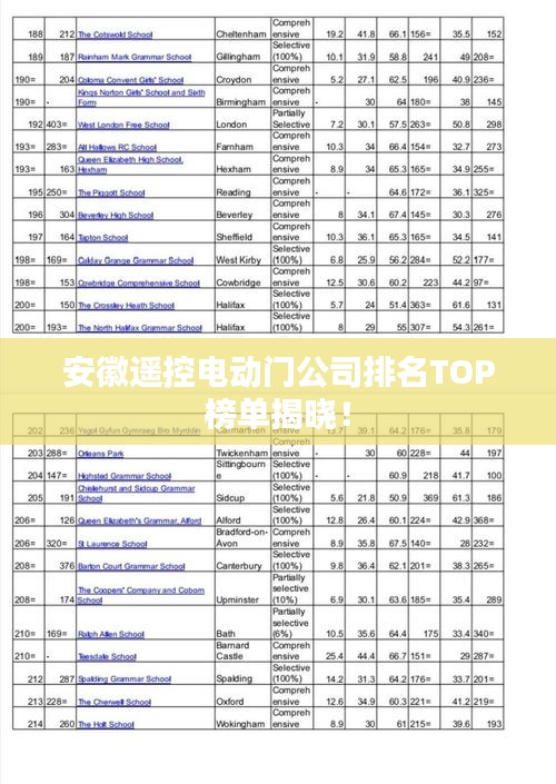 安徽遥控电动门公司排名TOP榜单揭晓！