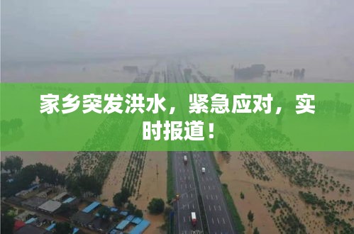 家乡突发洪水，紧急应对，实时报道！