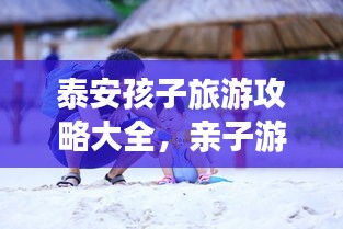 不求甚解