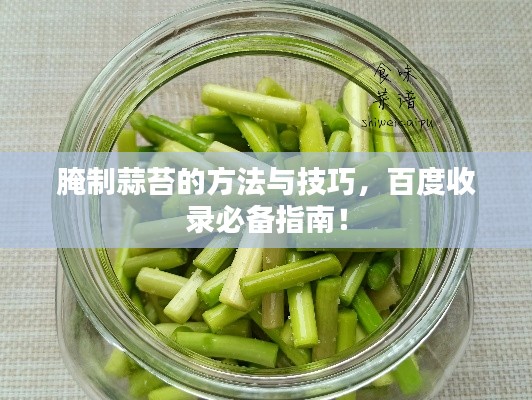 腌制蒜苔的方法与技巧，百度收录必备指南！