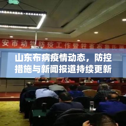 山东布病疫情动态，防控措施与新闻报道持续更新关注