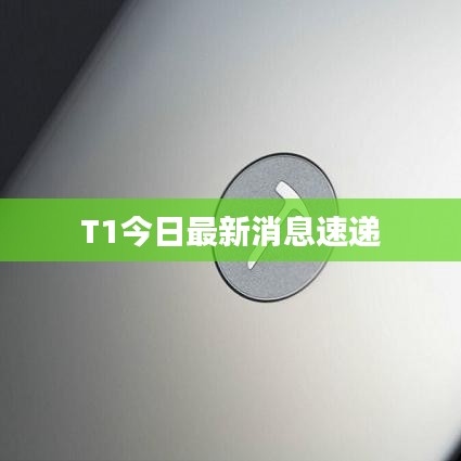 开张圣听
