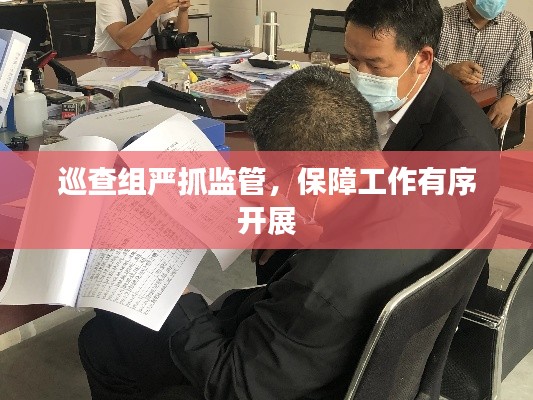 巡查组严抓监管，保障工作有序开展