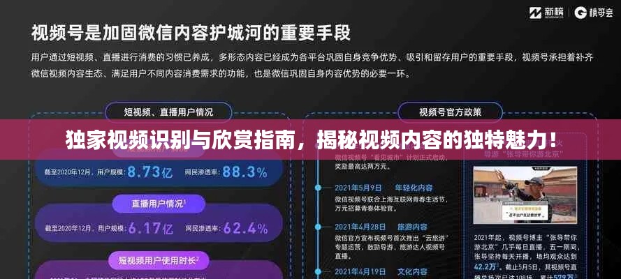 独家视频识别与欣赏指南，揭秘视频内容的独特魅力！