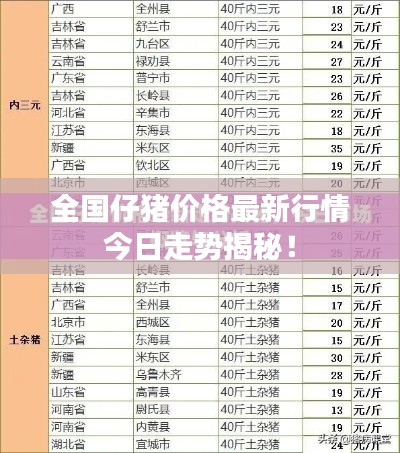 意气风发