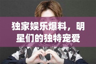 独家娱乐爆料，明星们的独特宠爱！
