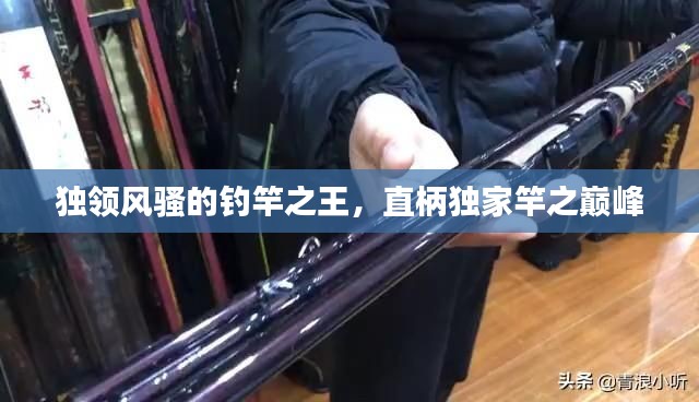 独领风骚的钓竿之王，直柄独家竿之巅峰