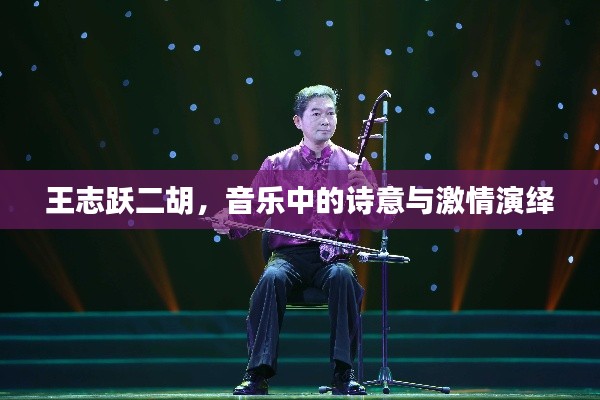 王志跃二胡，音乐中的诗意与激情演绎
