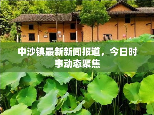 中沙镇最新新闻报道，今日时事动态聚焦