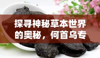 探寻神秘草本世界的奥秘，何首乌专题片视频独家呈现！