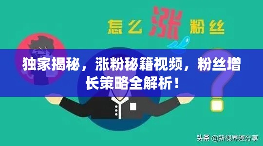 独家揭秘，涨粉秘籍视频，粉丝增长策略全解析！