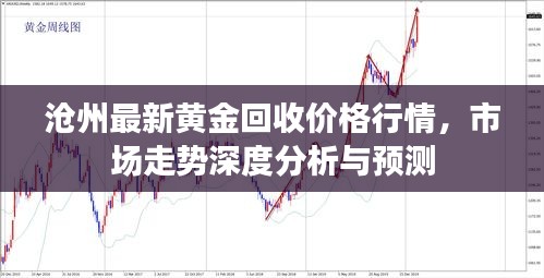 沧州最新黄金回收价格行情，市场走势深度分析与预测