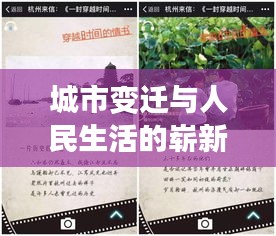 案例 第11页