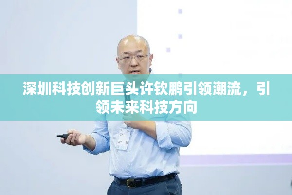深圳科技创新巨头许钦鹏引领潮流，引领未来科技方向