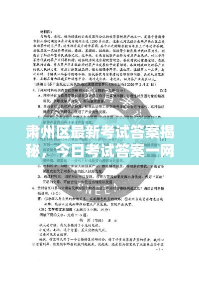 肃州区最新考试答案揭秘，今日考试答案一网打尽！