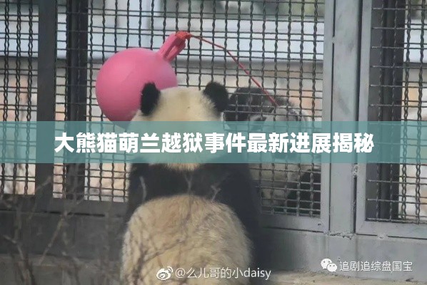 飞鸟惊蛇