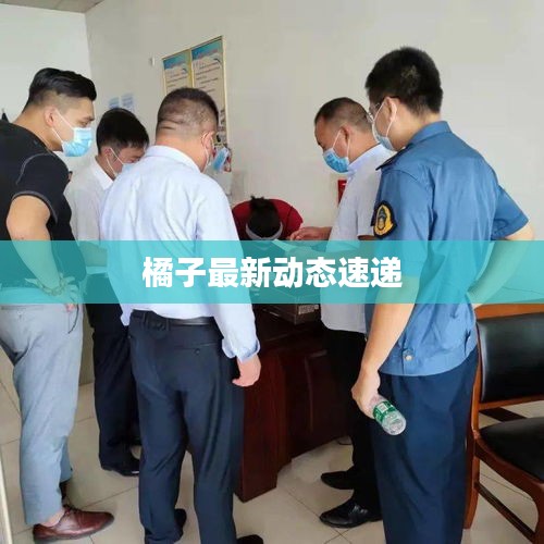 橘子最新动态速递