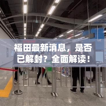 生张熟魏