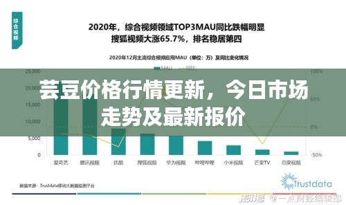 芸豆价格行情更新，今日市场走势及最新报价