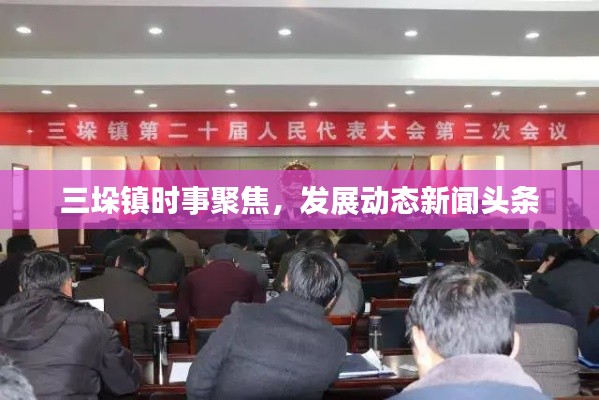 三垛镇时事聚焦，发展动态新闻头条