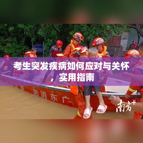 案例 第9页