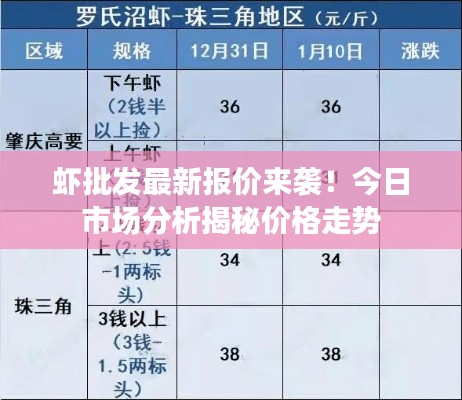 虾批发最新报价来袭！今日市场分析揭秘价格走势