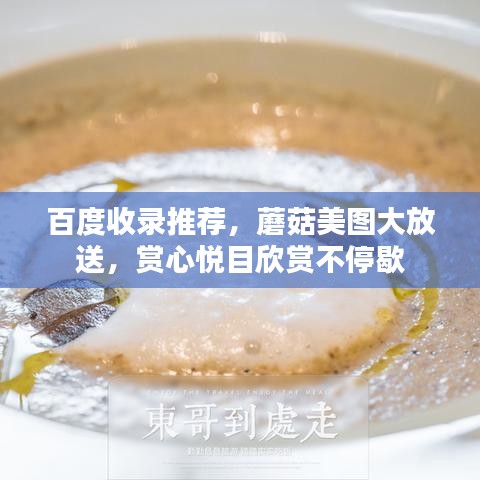 百度收录推荐，蘑菇美图大放送，赏心悦目欣赏不停歇