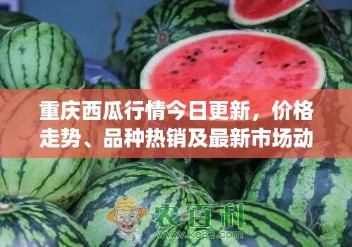 七嘴八张