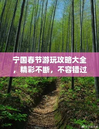 动态 第5页
