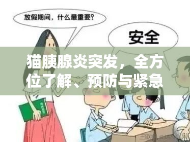 猫胰腺炎突发，全方位了解、预防与紧急应对措施
