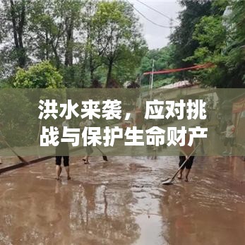 洪水来袭，应对挑战与保护生命财产安全——赶水突发洪水纪实