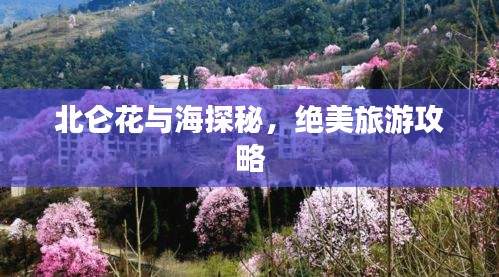 2025年6月13日
