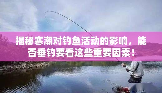 揭秘寒潮对钓鱼活动的影响，能否垂钓要看这些重要因素！