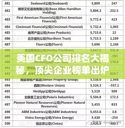 美国CFO公司排名大揭秘，顶尖企业榜单出炉！