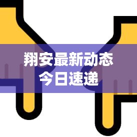 翔安最新动态今日速递
