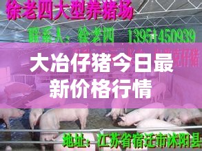 联系 第13页