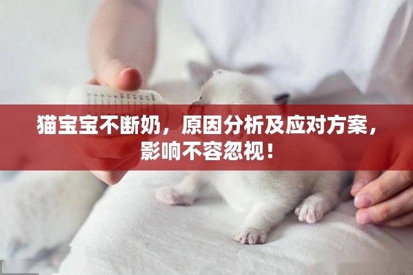 简介 第5页
